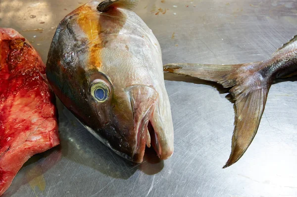 Amberjack fisk filé processen i rostfritt stål — Stockfoto