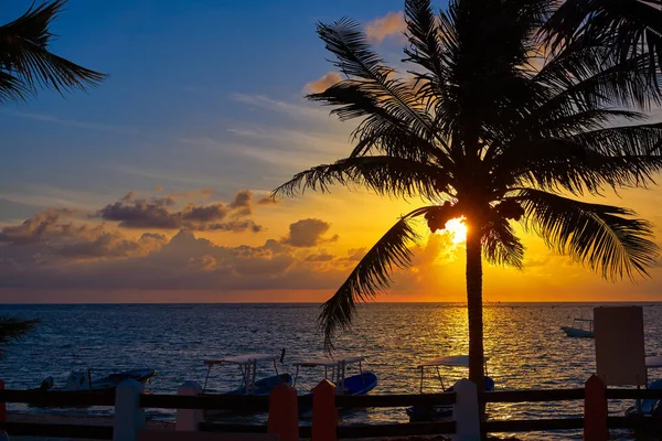 Riwiera Majów sunrise plaża palm tree — Zdjęcie stockowe
