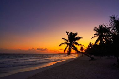 Tulum plaj gün batımı palmiye ağacı Riviera Maya