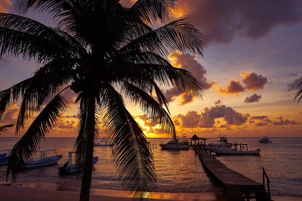 Puerto Morelos solnedgång i Riviera Maya — Stockfoto