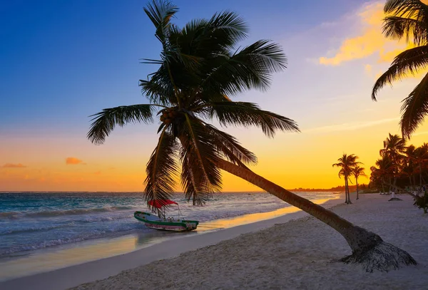 Tulum praia pôr do sol palmeira Riviera Maya — Fotografia de Stock