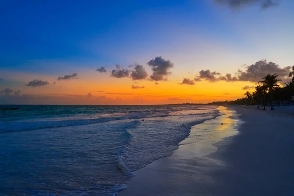 Tulum plaj gün batımı palmiye ağacı Riviera Maya — Stok fotoğraf