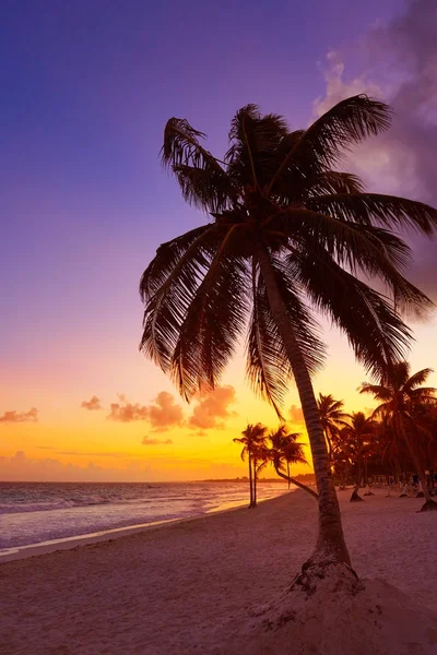 Tulum beach sunset palm tree Riviera Maya — Stockfoto
