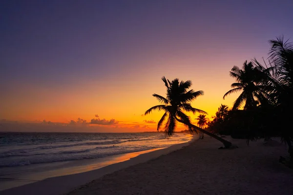 Tulum beach sunset palm tree Riviera Maya — Stock Photo, Image