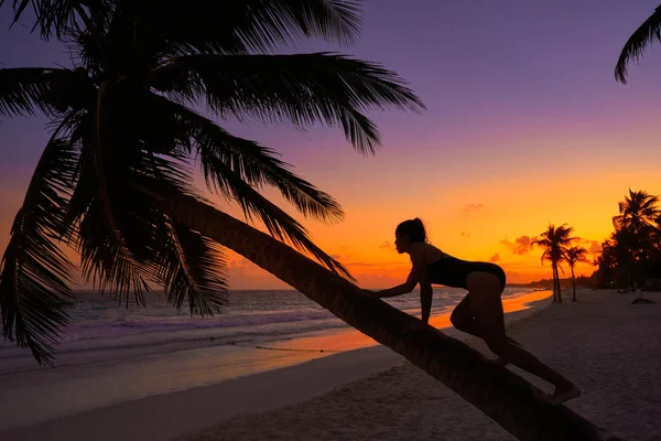 Meisje silhouet palm tree Caribbean sunset — Stockfoto