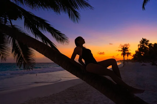 Ragazza silhouette palma Caraibi tramonto — Foto Stock