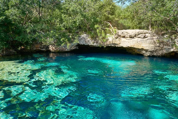 Cenote in Riviera Maya von Maya-Mexiko — Stockfoto