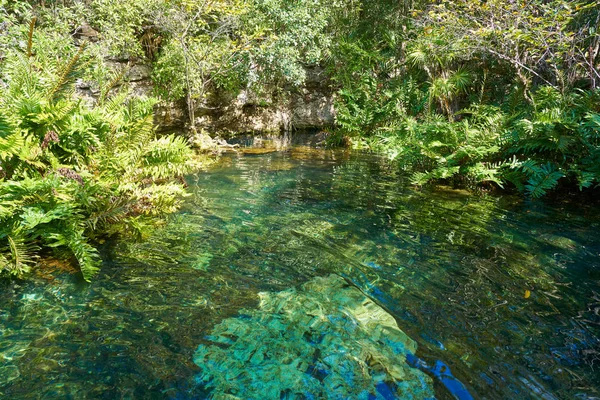 Cenote in Riviera Maya del Messico Maya — Foto Stock