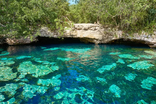 Cenote in Riviera Maya van Maya Mexico — Stockfoto