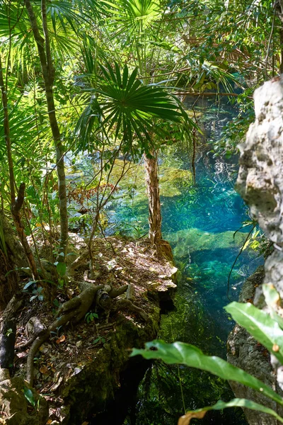 멕시코, 마 야의 리비에 라 마 야에 Cenote — 스톡 사진