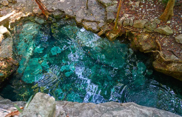 Cenote en Riviera Maya de México Maya —  Fotos de Stock