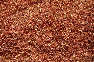 Chico Zapote Manilkara zapota ahşap Meksika