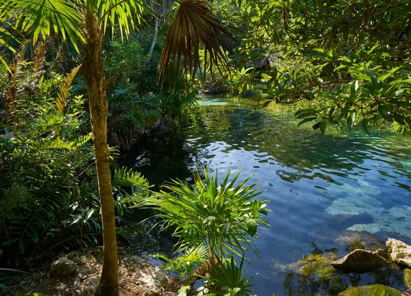 Cenote på Riviera Maya Maya Mexiko — Stockfoto