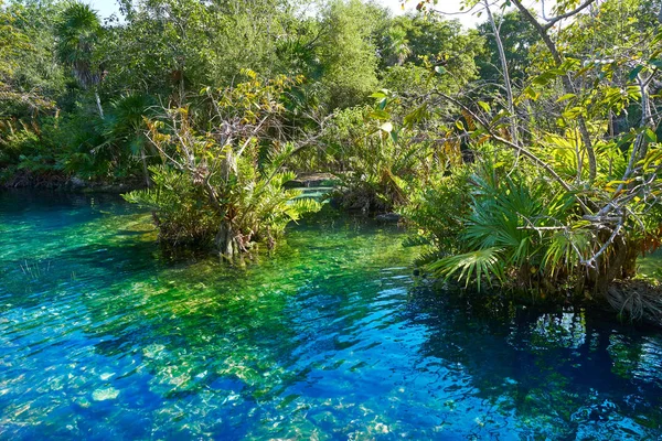 Cenote en Riviera Maya de México Maya — Foto de Stock