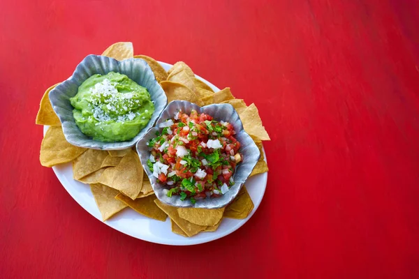 Meksika guacamole ve pico gallo soslar