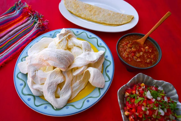 Queso Oaxaca quesadilla de México —  Fotos de Stock