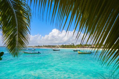 Riviera Maya Beach'te Akumal defne