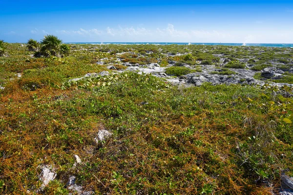 Акумальский залив на Ривьере Майя Мексика — стоковое фото