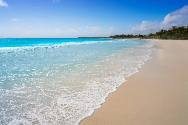 Riviera Maya Akumal Caribbean beach — Stok fotoğraf