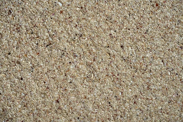 シェル部分とマヤのリビエラの砂詳細 — ストック写真