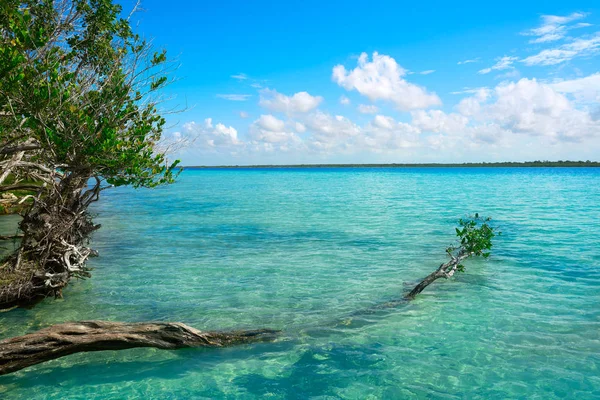 Laguna de Bacalar Lagoon in Mexico — Stock fotografie