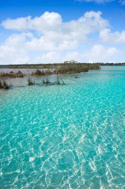 Laguna de Bacalar Lagoon Maya Meksika