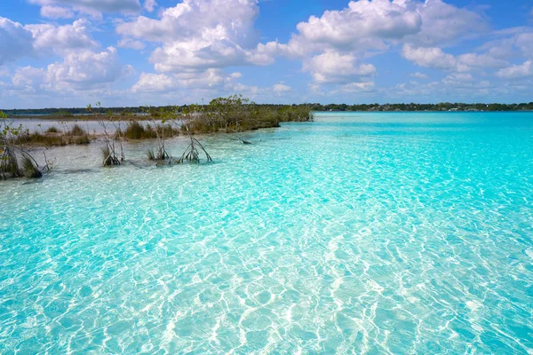 Laguna de Bacalar Laguna en México Maya —  Fotos de Stock