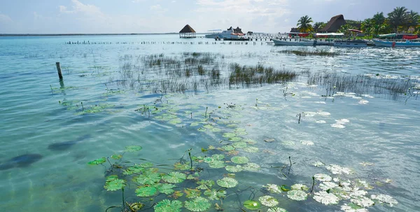 Laguna de Bacalar Lagoa em Mayan México — Fotografia de Stock