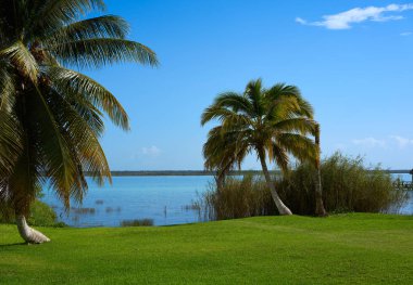 Laguna de Bacalar Lagoon Maya Meksika