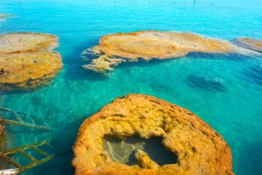 Stromatolites in Bacalar Lagoon of Mexico clipart