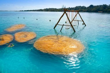 Stromatolites in Bacalar Lagoon of Mexico clipart
