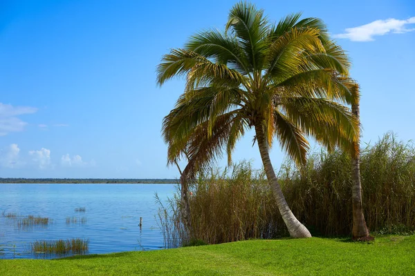 Laguna de Laguna Bacalar v Mexiku mayské — Stock fotografie