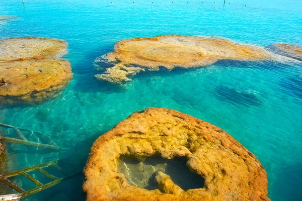 Stromatolites in Bacalar Lagoon of Mexico — Stock Photo, Image