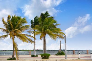 Cancun Meksika lagün ve otel bölgesi