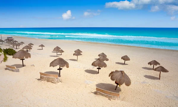 Cancun Mexico Delfines Caribbean beach — Stockfoto