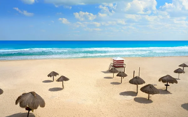 Cancun mexiko delfines karibischer strand — Stockfoto