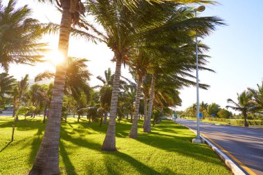 Cancun Mexico Kukulcan blvd Mexico