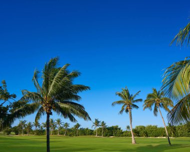 Cancun Meksika Kukulcan blvd golf sahası