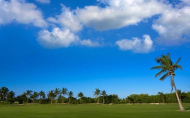 Cancun Meksika Kukulcan blvd golf sahası