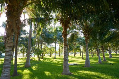 Cancun Mexico Kukulcan blvd Mexico