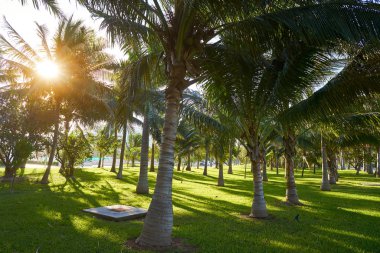 Cancun Mexico Kukulcan blvd Mexico