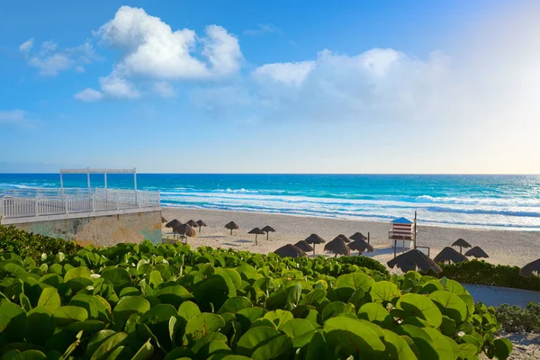 Mexiko Cancún Delfines Beach Hotel Zone — Stock fotografie