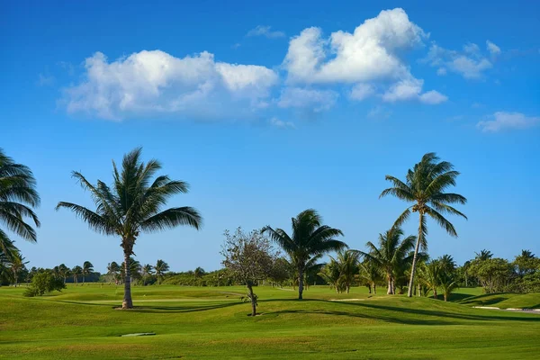 Cancun Mexico Kukulcan blvd golfbaan — Stockfoto