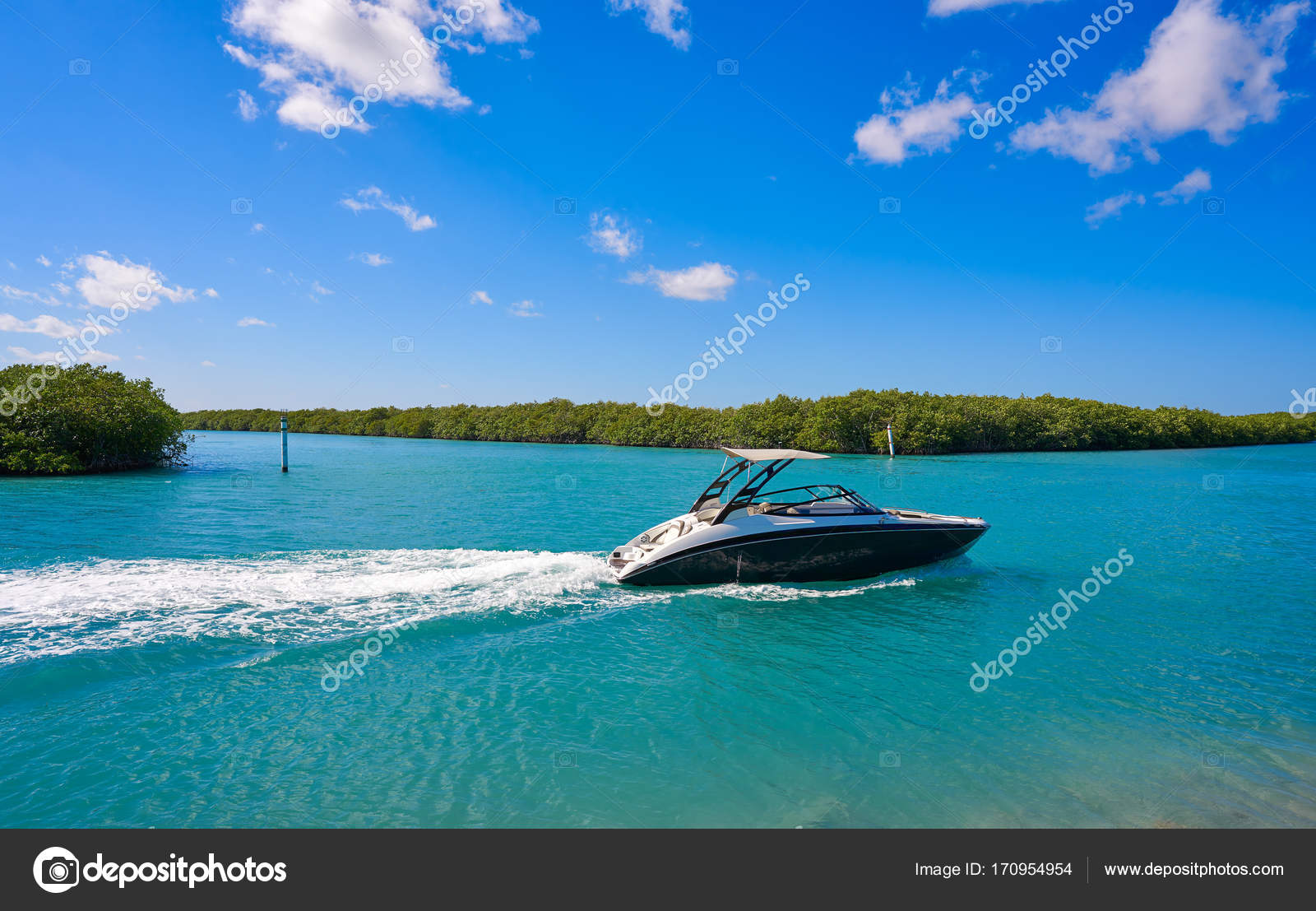 Best of nichupte lagoon swimming on family quotes