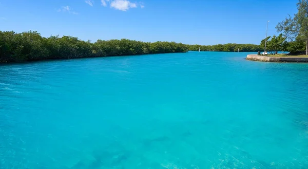 Cancun Nichupte Lagoon Hotel bölgede — Stok fotoğraf