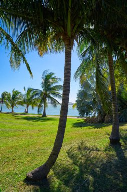 Hotel bölge alanında Cancun Pok-Ta-Pok 