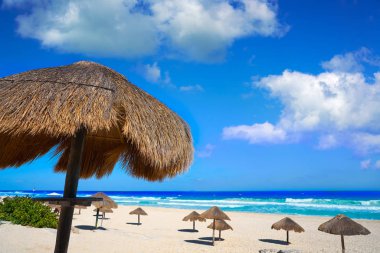 Cancun Delfines Beach Otel Bölgesi Meksika