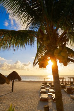 Riviera Maya sunrise beach Meksika