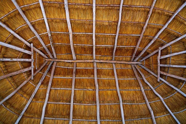 乾いた草にカンクン パラパ屋根の小屋 — ストック写真