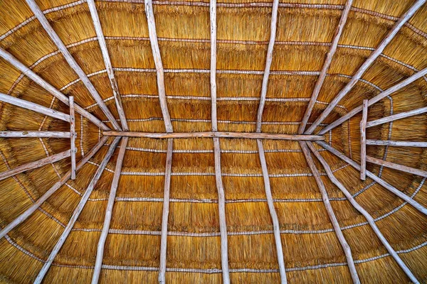 坎昆 palapa 屋顶小屋干草 — 图库照片